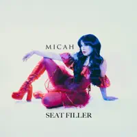 SEAT FILLER