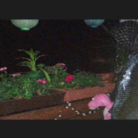 half-mass - Single - LEV1T1CUS