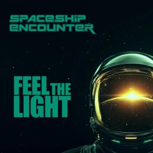 Feel The Light