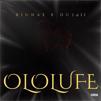 Ololufe (feat. Big Na$) - Single