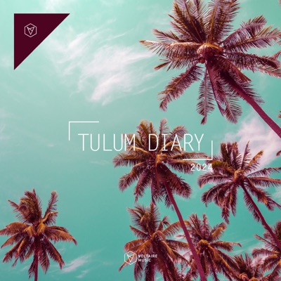 Voltaire Music Pres. The Tulum Diary 2024