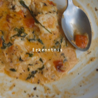 Erkenntnis - Single