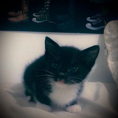 Mi manera de querer (feat. once) - Single