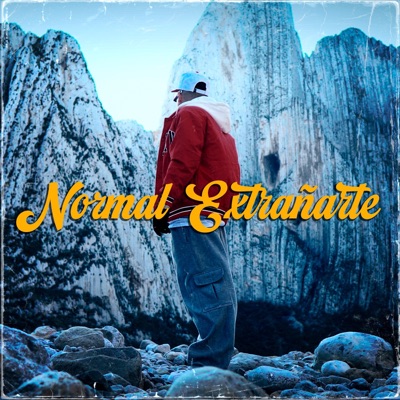 Normal Extrañarte - Single
