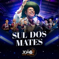 Sul dos Mates (Ao Vivo) - Single - João Luiz Corrêa