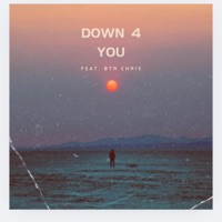 Down 4 You (feat. BTR Chris) - Single - Q.MUSIC