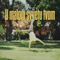 U Malom Svijetu Tvom
