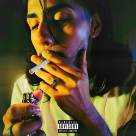 BETTER Vicio & Baby Seth