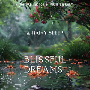 Blissful Dreams & Rainy Sleep