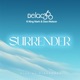 Surrender feat Kingsley Narh Dee Nelson Single