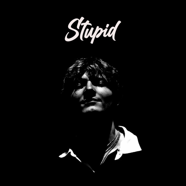 Stupid - Single