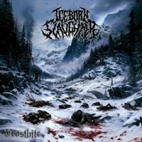 Album cover for Erased by nature by Iceborn Slaughter