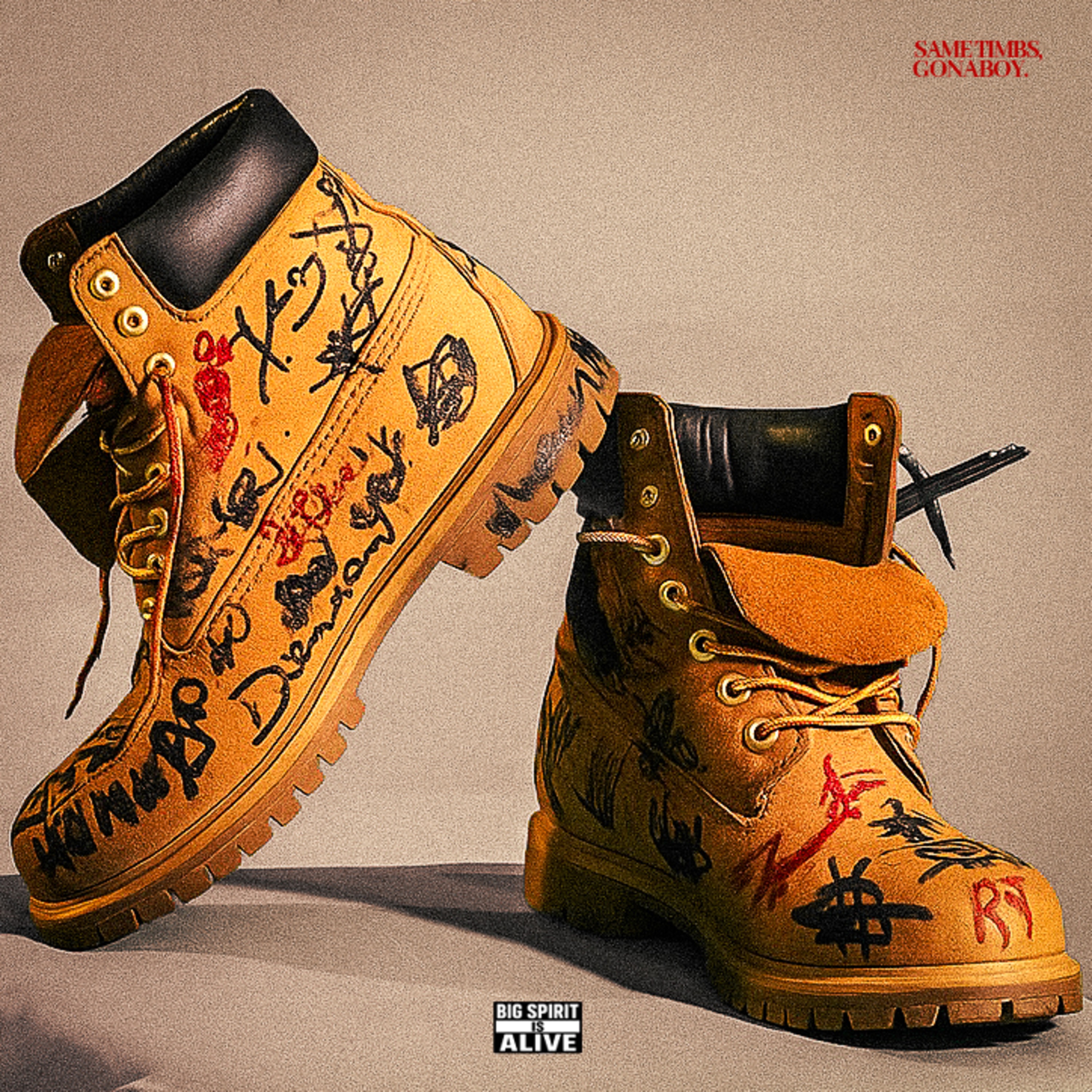SAME TIMBS - Single