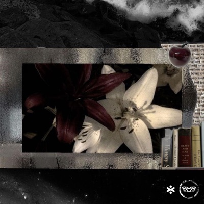 WHY SHOULD I CARE - Single