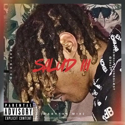 SALUD lll (BabyyxE Mix) (feat. Syvyn. & Scoobert Tha Dean) - Single