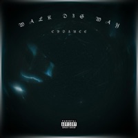 WALK DIS WAY - Single - cvdznce