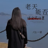 老天能否体会我的累 - Single - QL一星