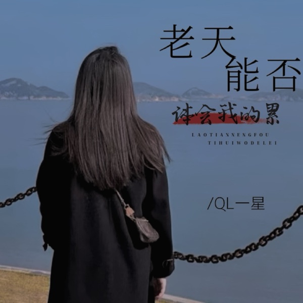 老天能否体会我的累 - Single