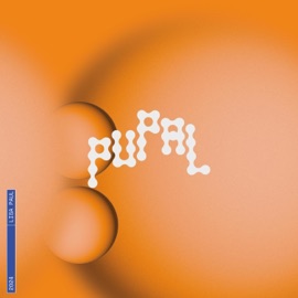 Broken Glass (feat. maybeanton & Suli Yuyi) Lisa Paul