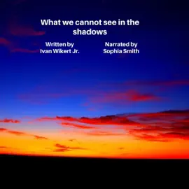 What We Cannot See in the Shadows (Unabridged)