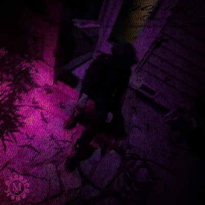 #Shine (feat. Sincejuly) - Single