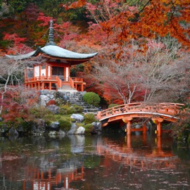 Tell the Truth (feat. FLOOD the BASEMENT) NøKendø