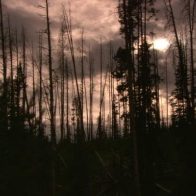 eruption (feat. sorcery & hatethewar) - Single