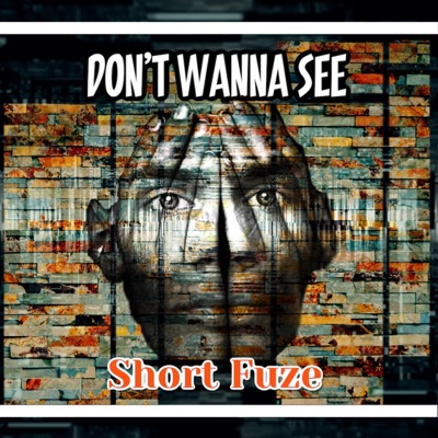 Don't Wanna See - Single