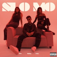 SLO-MO (feat. Fireboy & Rk Ak) - Single - Harv