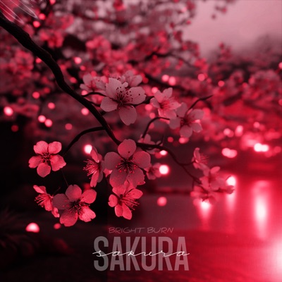 Sakura - Single