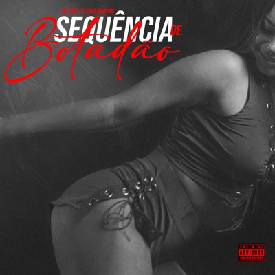 Sequência de Botadão - Single