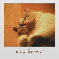 mùa hè oi ả - Bách Phan