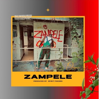 Zampele (feat. Spirit) - Single