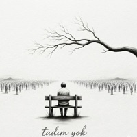 TADIM YOK - Single - Harim