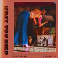 What You Need (feat. Mick Jenkins) - Single - Jimmie Bishop