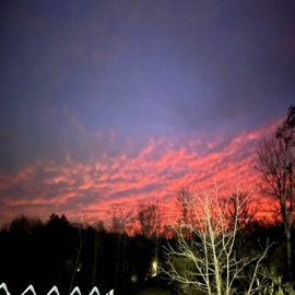 Light's Death Cxldaf & lucygray