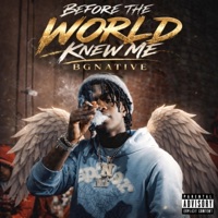 Switches and Drakes (feat. Bckbby & Bee) - Single - BGNATIVE