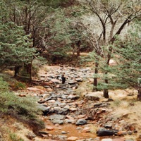 Tepoztlán - Single - Gavin Haley