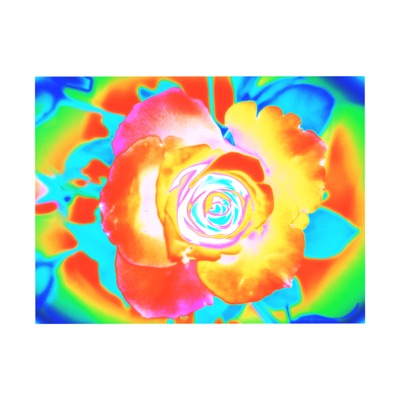 Bright - Single