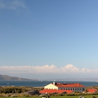 alkaline - Single - lucaisaiah