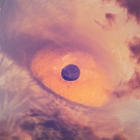 Float Away (Birds Eye) [feat. Ryan Arnold] - Single - The/Theys