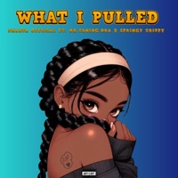 What i pulled (feat. Mr.Taning'ora & Springy Trippy) - Single - Smarta Official
