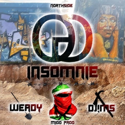 Insomnie (feat. Djims) - Single