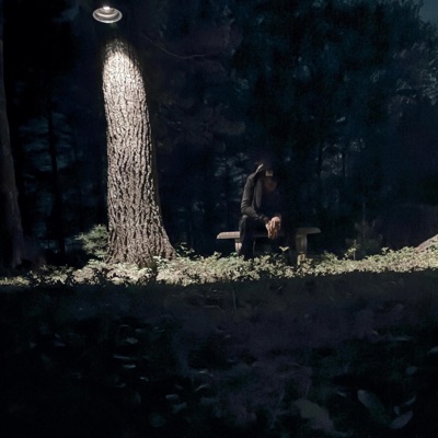 False Walls - Single