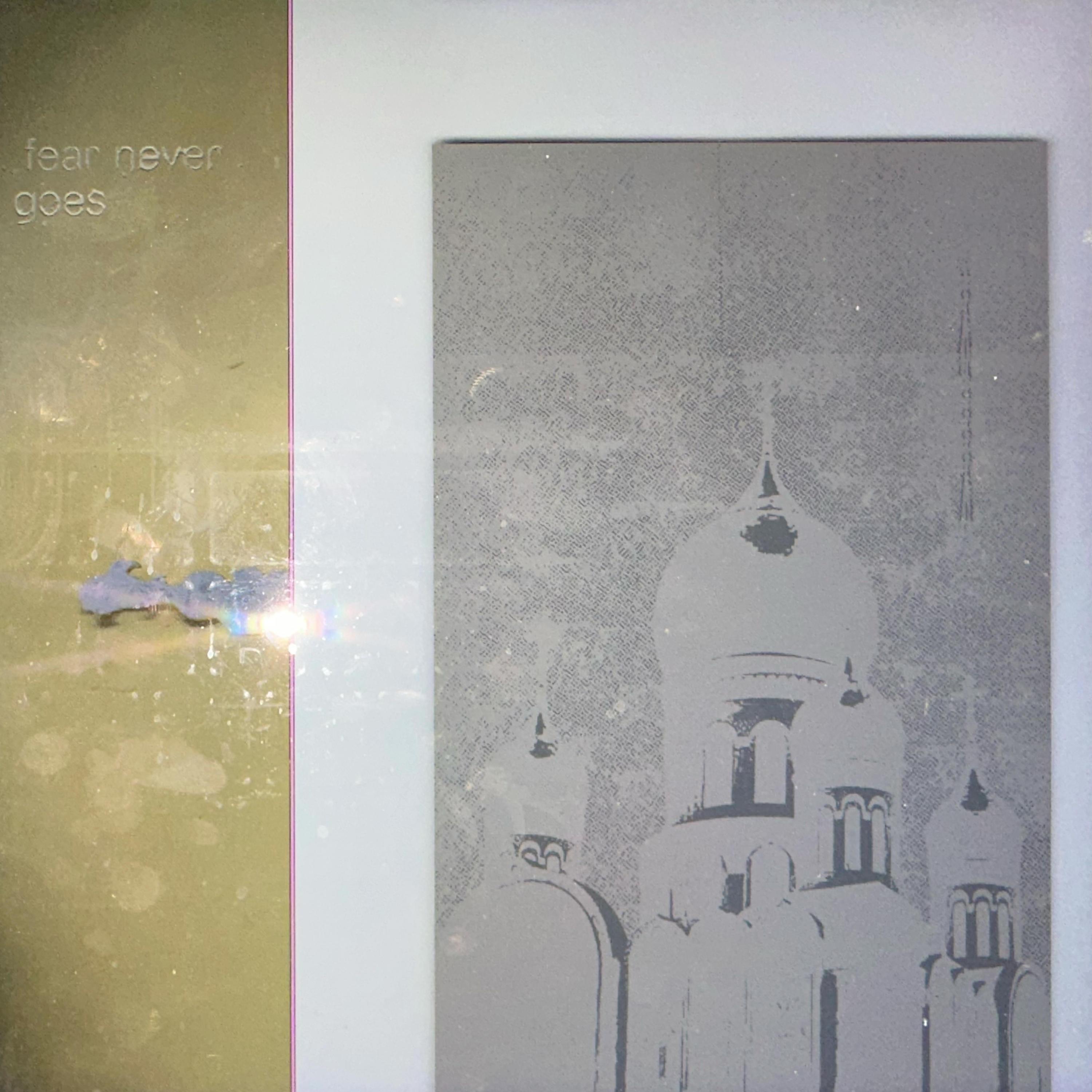 Fear Never Goes - Single