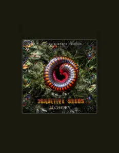 Écoutez Sensitive Seeds, regardez des vidéoclips, lisez la biographie, consultez les dates de tournée et plus encore !