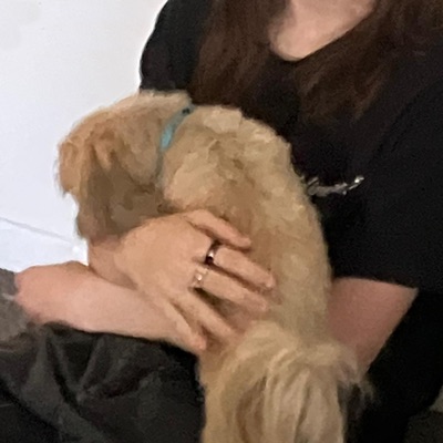 Could we still be friends? - Single