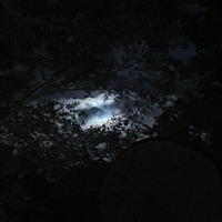 Intoxicated (feat. Astrall!) - Single - HO11OW