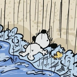 Fall Apart (feat. 33angelz) 6Ducky