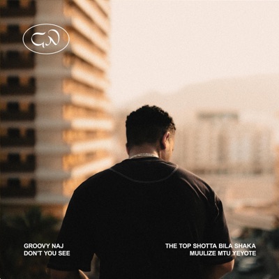 DON'T YOU SEE? - Single